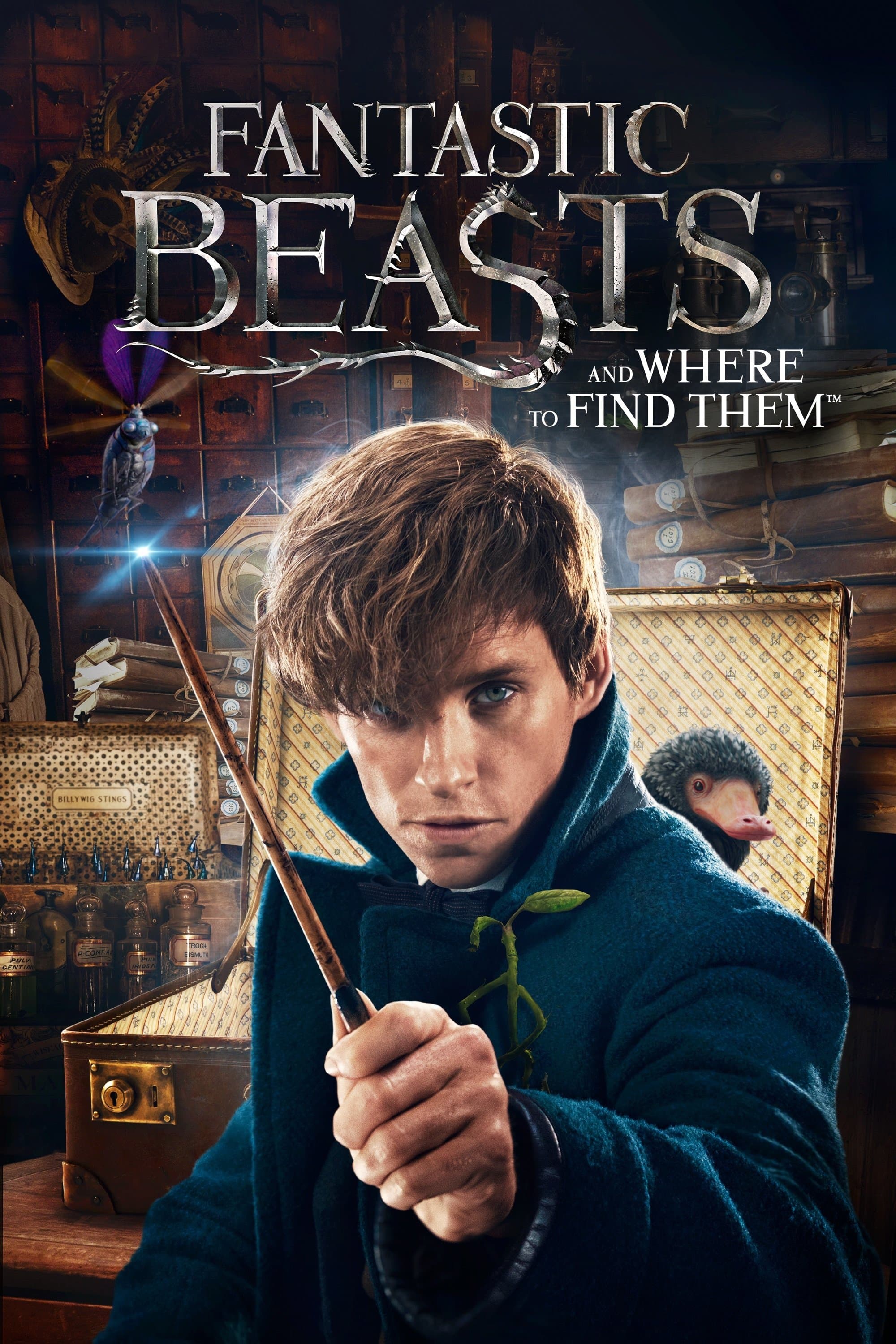 Fantastic Beasts and Where to Find Them by Vj Junior